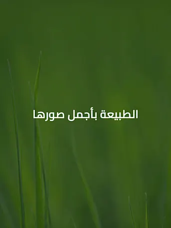 DAMAC Hills-Gallery-07-AR