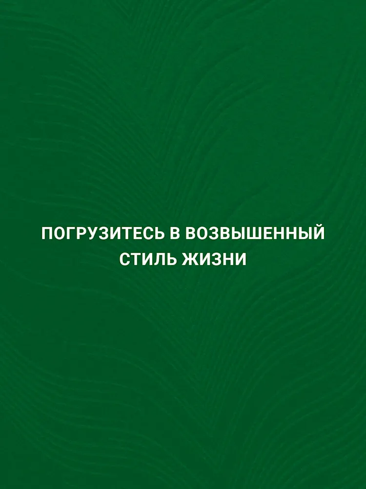 ELO-Gallery-07-RU