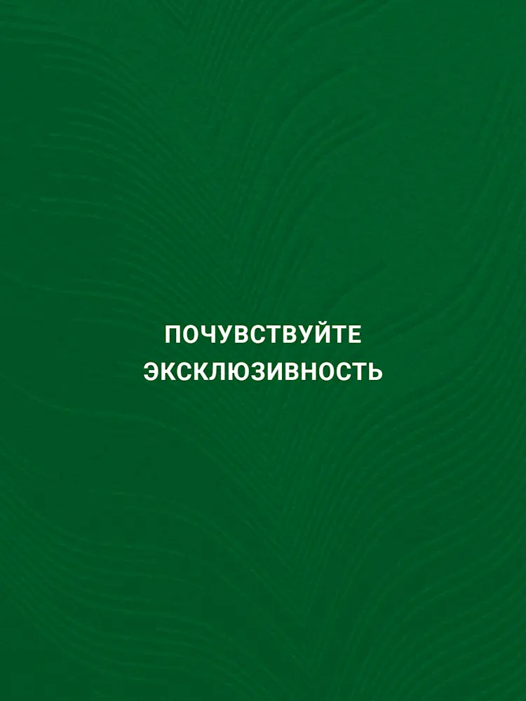 ELO-Gallery-15-RU