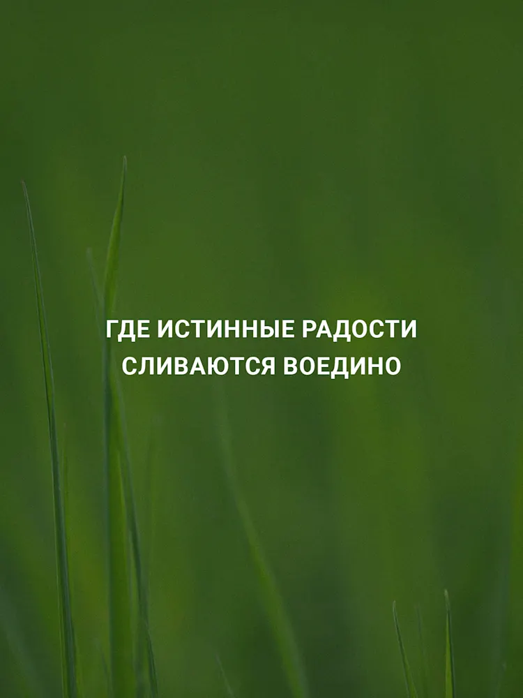 DAMAC Hills-Gallery-04-RU