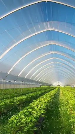 Leveraging Partnership Opportunities