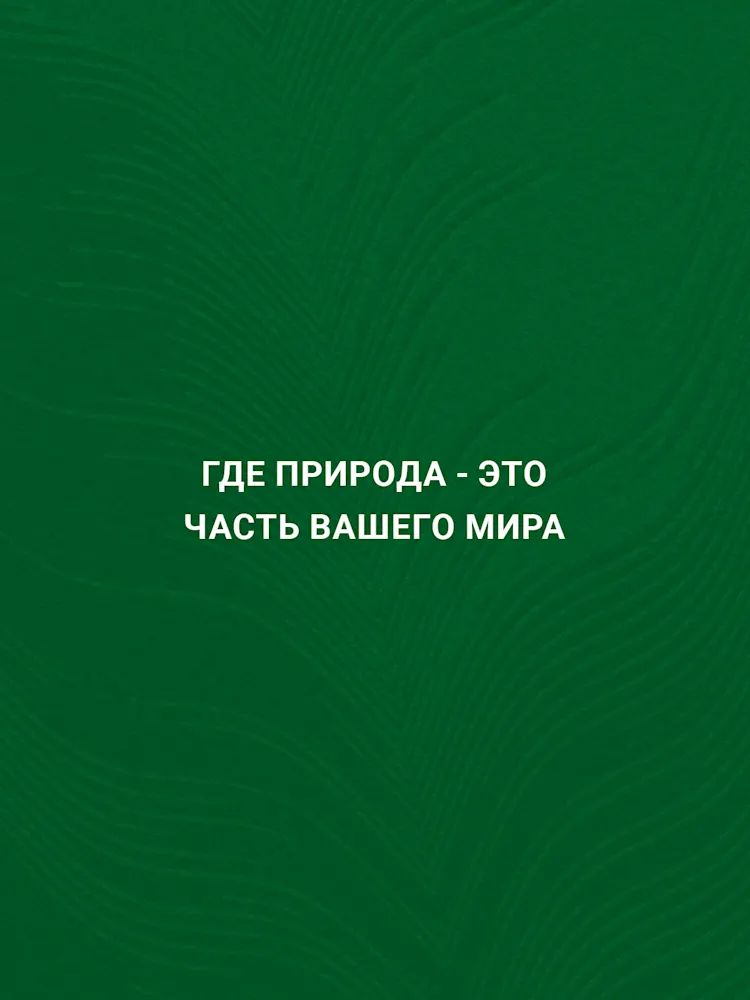ELO-Gallery-04-RU