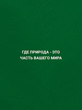 ELO-Gallery-04-RU