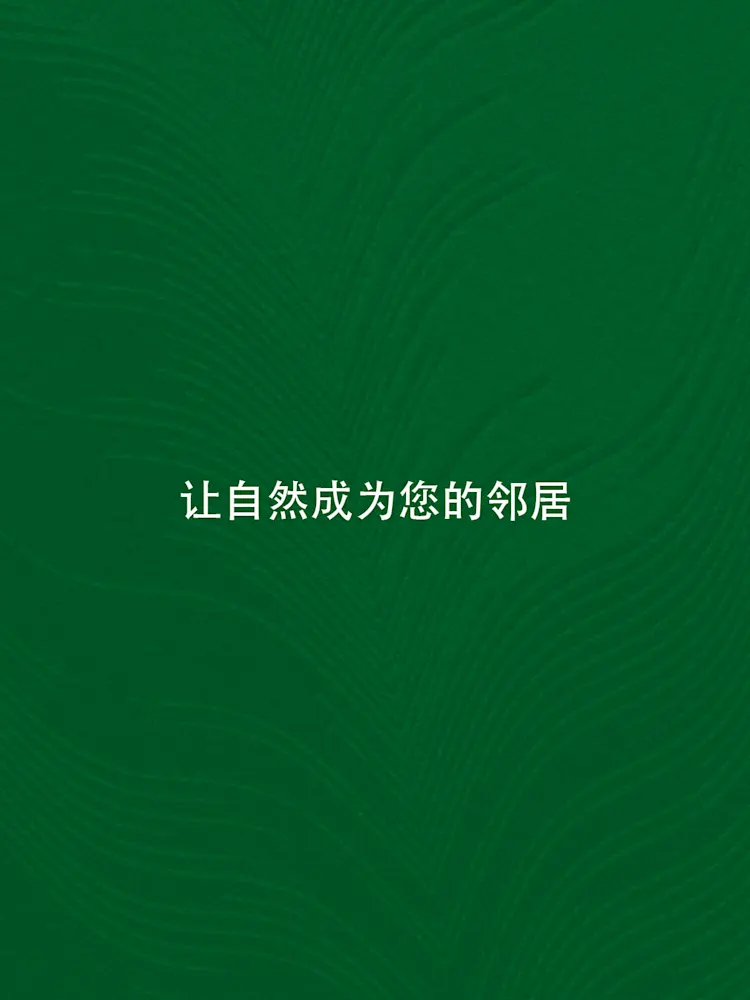 ELO-Gallery-04-CN