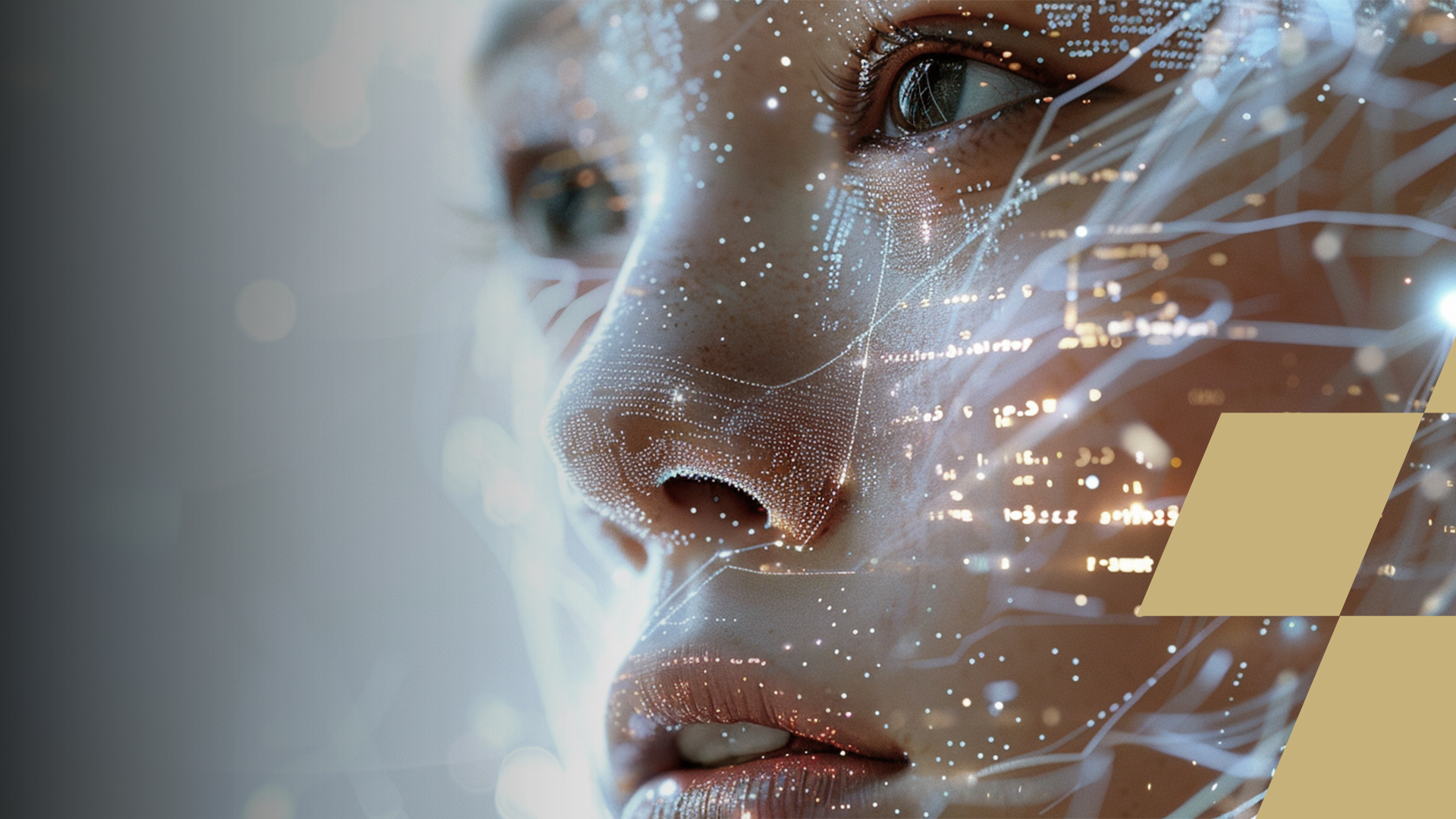 Our Purpose 1920x1080