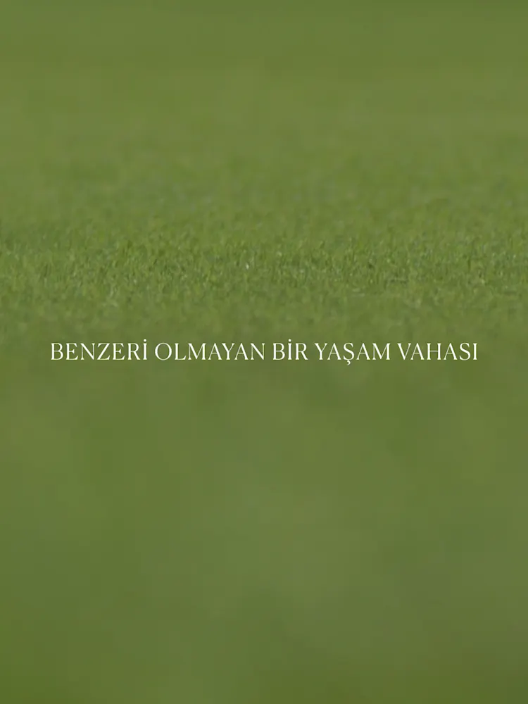 Golf Greens-Gallery-01-TR