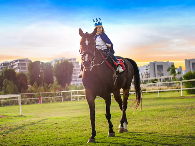 Tauchen Sie ein in den Reitsport-Lifestyle mit unseren Ställen. Genießen Sie eine ruhige Umgebung mit direktem Zugang zu malerischen Reitwegen und unvergesslichen Ausritten.