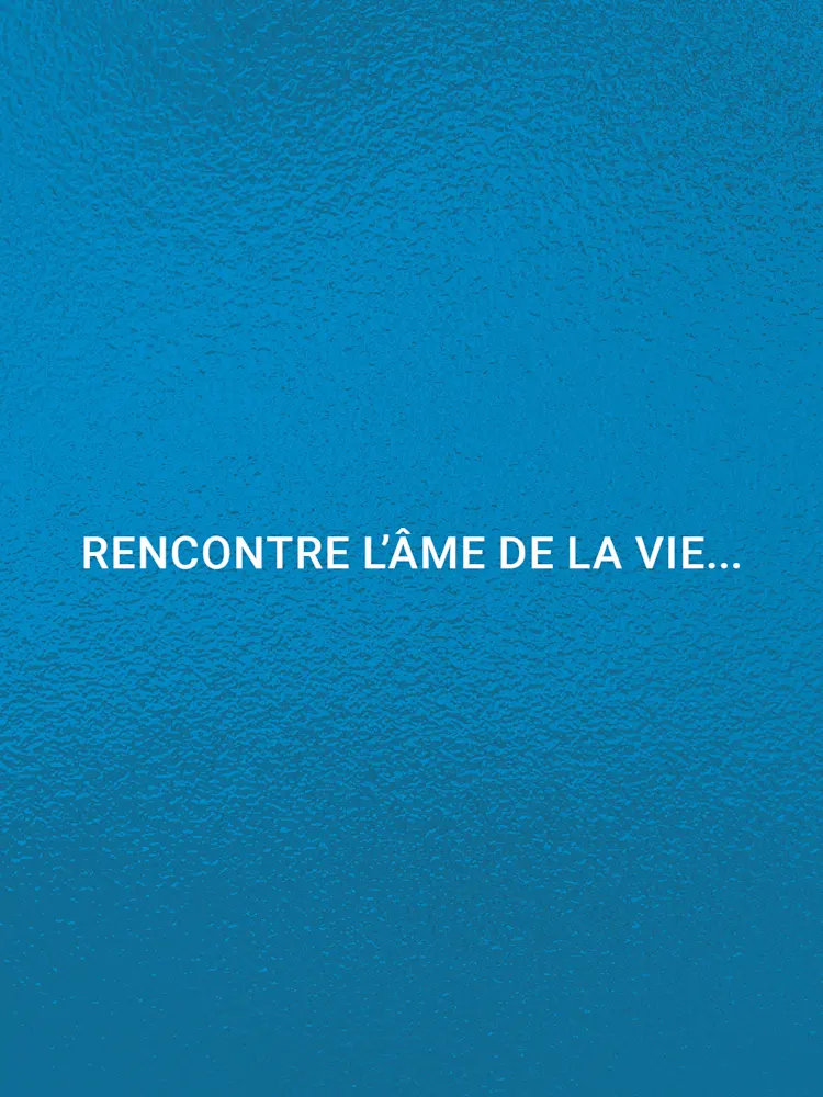 DAMAC Majestine-Gallery-10-FR