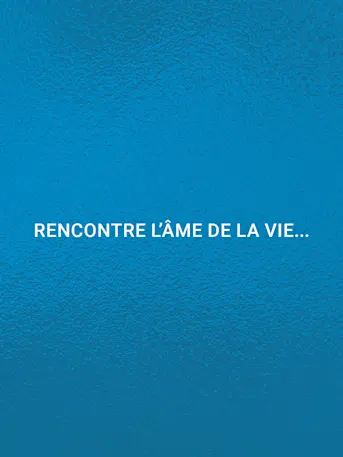 DAMAC Majestine-Gallery-10-FR