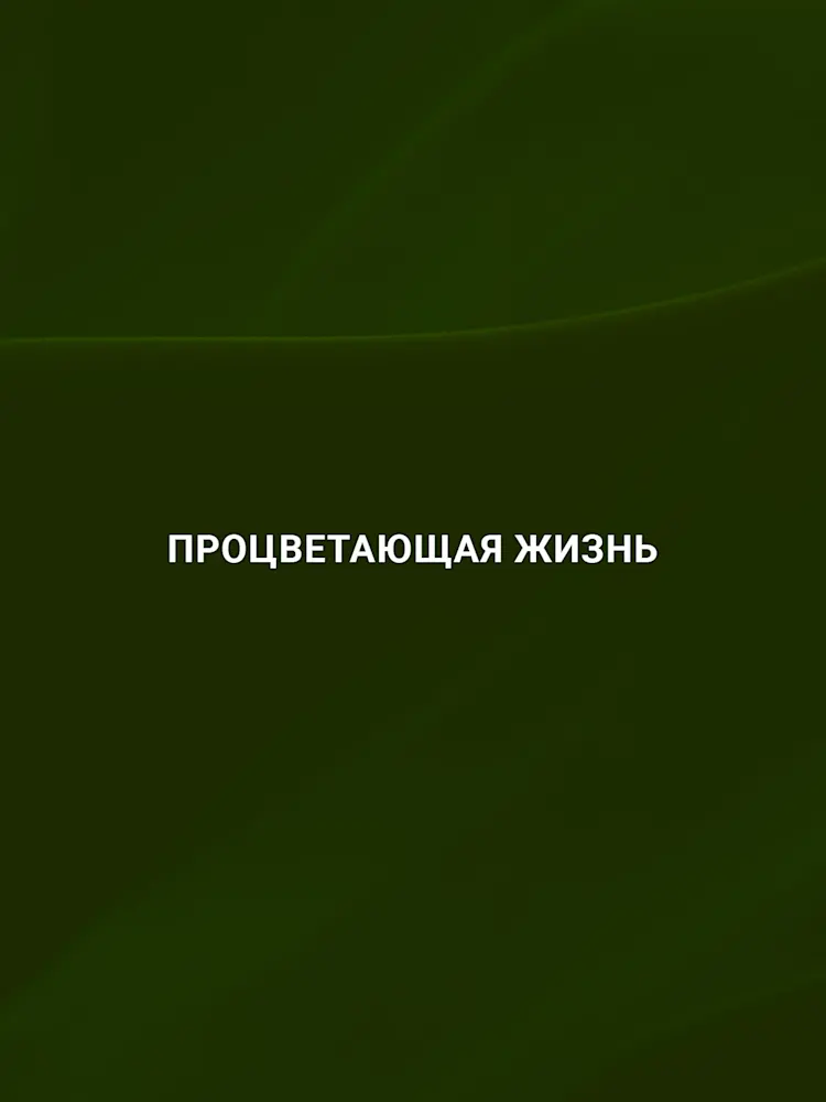 Evergreens-Gallery-01-RU