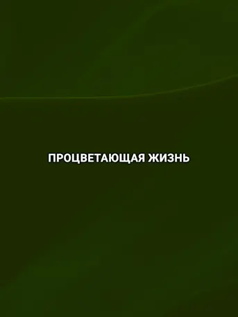 Evergreens-Gallery-01-RU