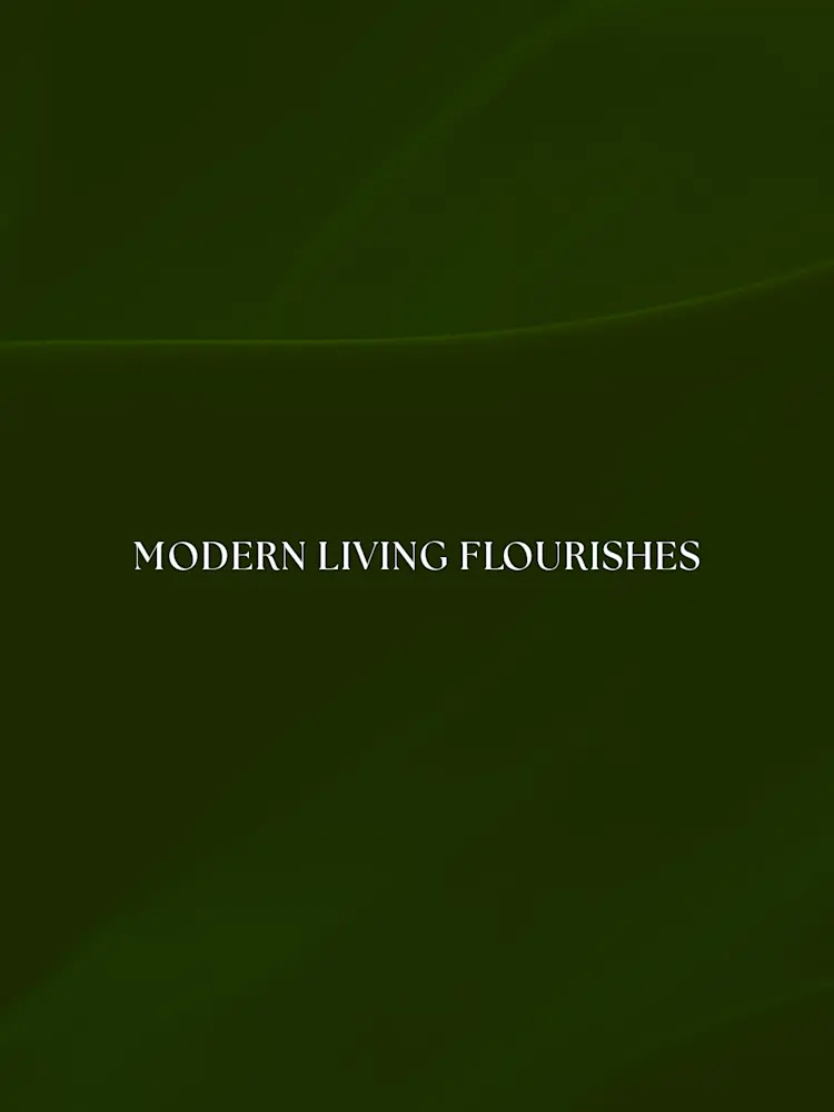 Evergreens-Gallery-01