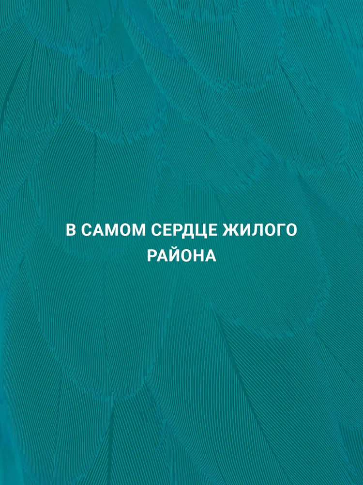 Celestia-Gallery-08-RU