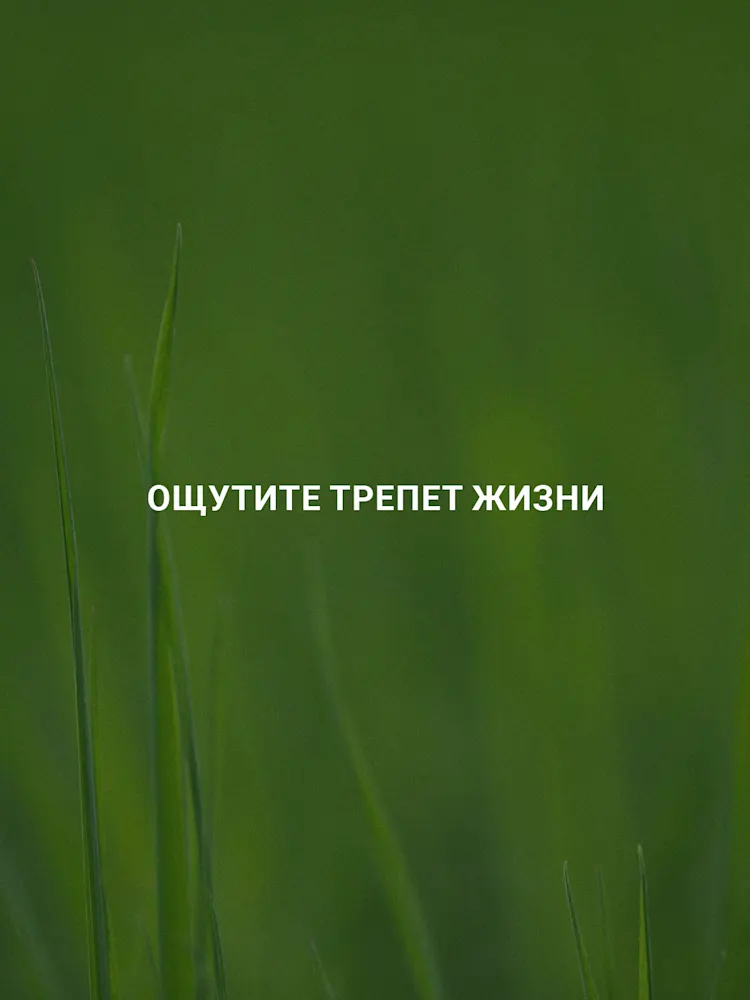 DAMAC Hills-Gallery-10-RU