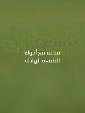 Golf Greens-Gallery-12-AR