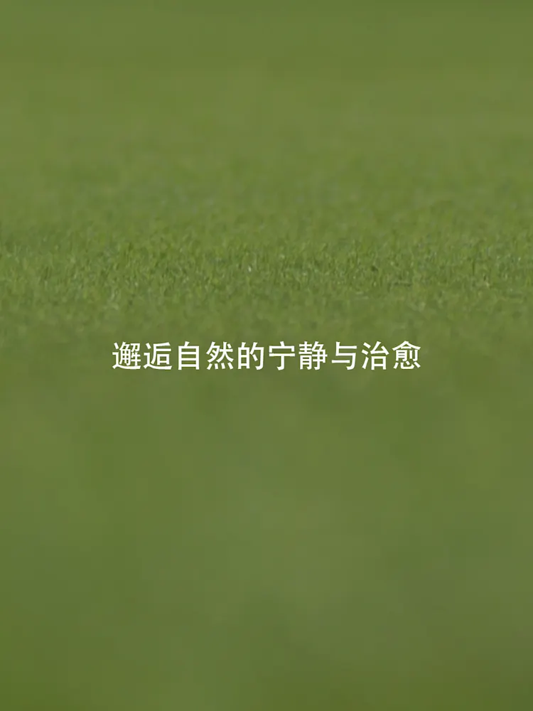 Golf Greens-Gallery-12-CN