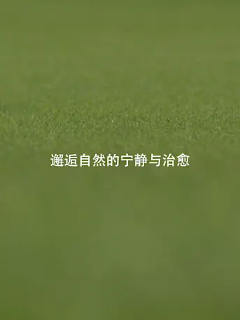 Golf Greens-Gallery-12-CN