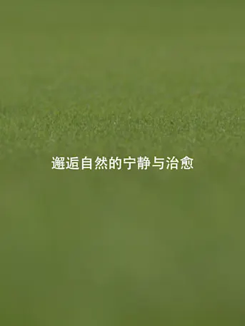 Golf Greens-Gallery-12-CN