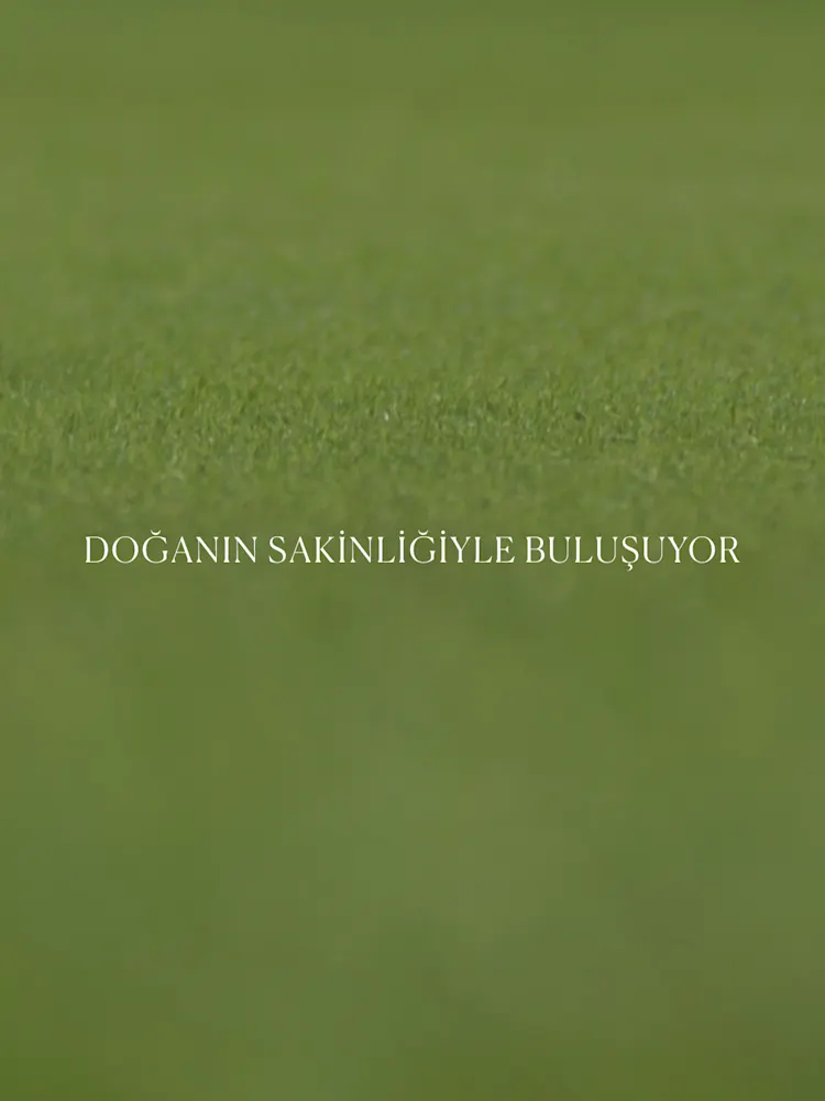 Golf Greens-Gallery-12-TR