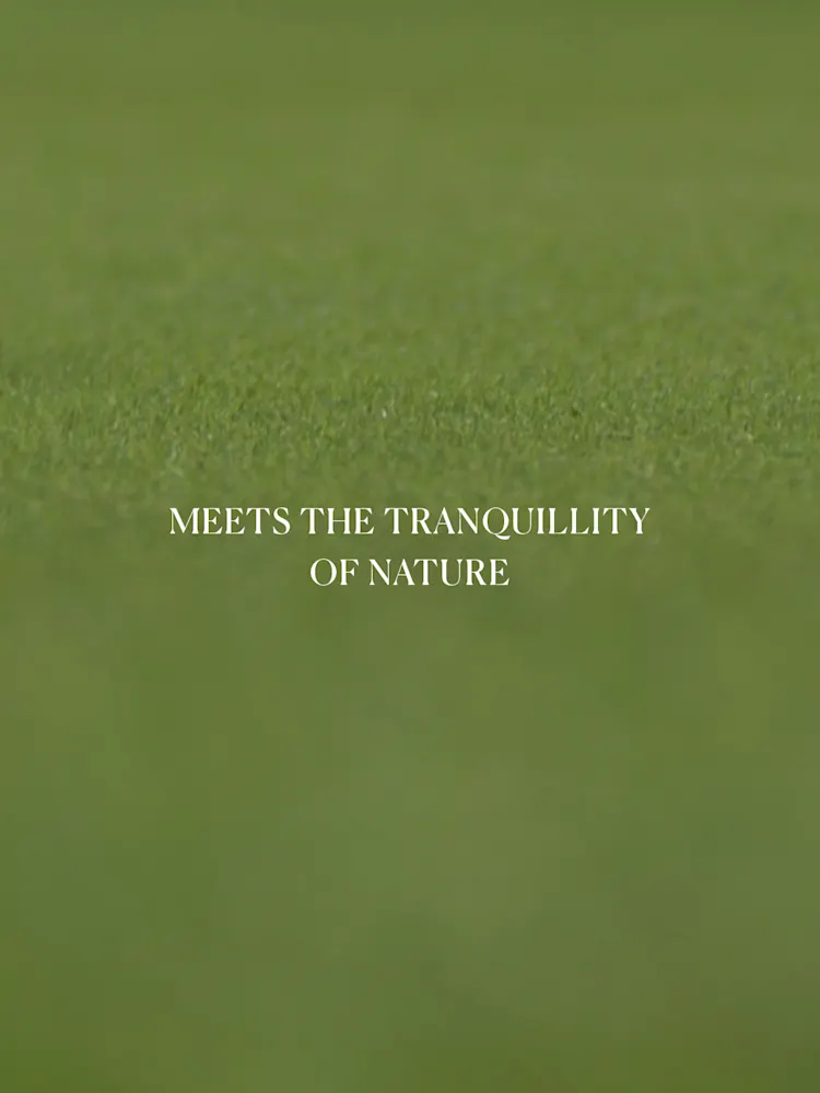 Golf Greens-Gallery-12