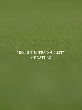 Golf Greens-Gallery-12