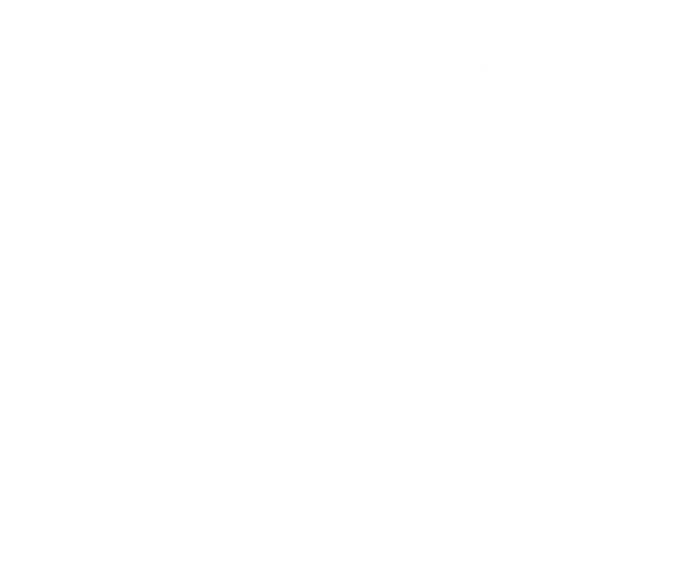 DAMAC Lagoons Official Community Masterplan