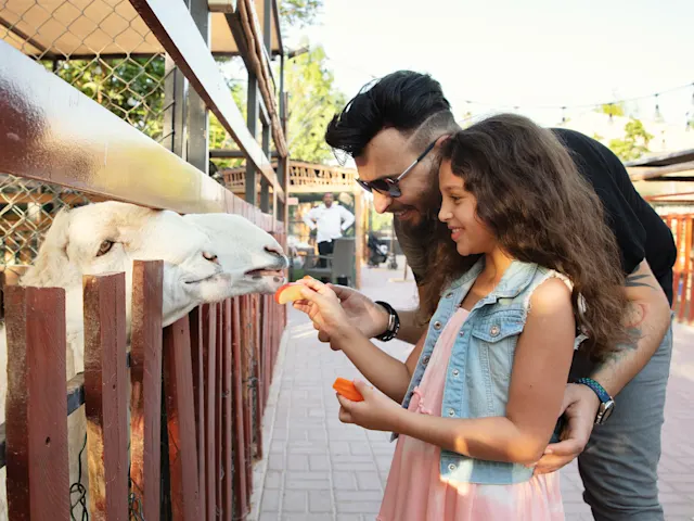  Çocuklar ve yetişkinler için eğlenceli ve öğretici bir deneyim sunan petting hayvanat bahçesinde sevimli dostlarla yakından tanışın, doğayla iç içe vakit geçirin.