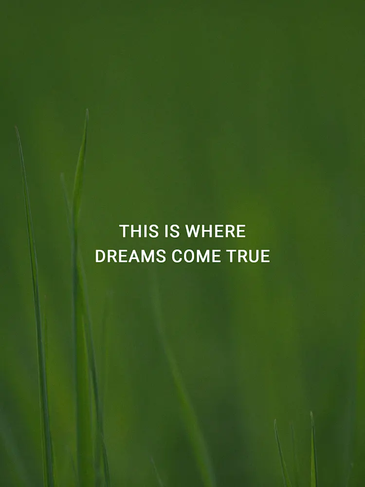 DAMAC Hills-Gallery-18