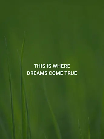 DAMAC Hills-Gallery-18