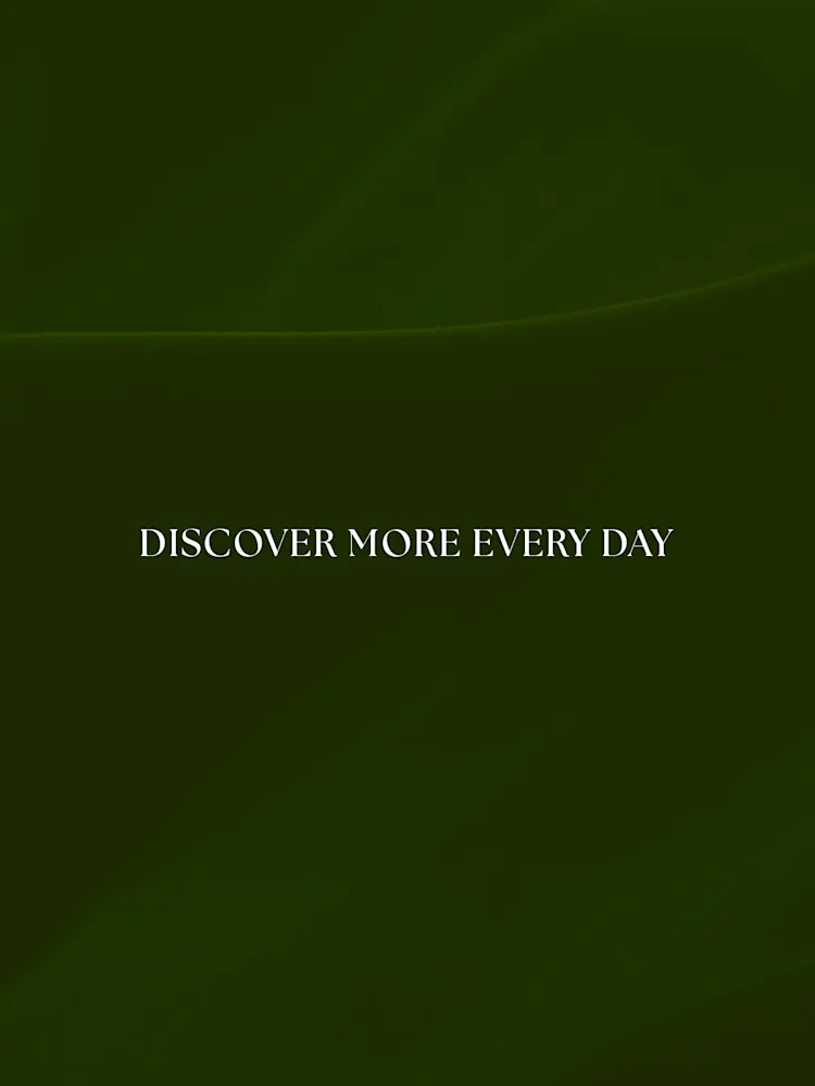 Evergreens-Gallery-16