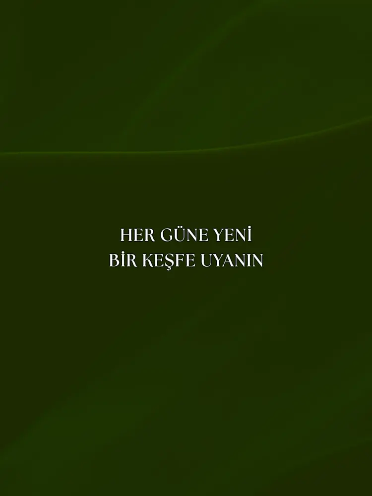 Evergreens-Gallery-16-TR