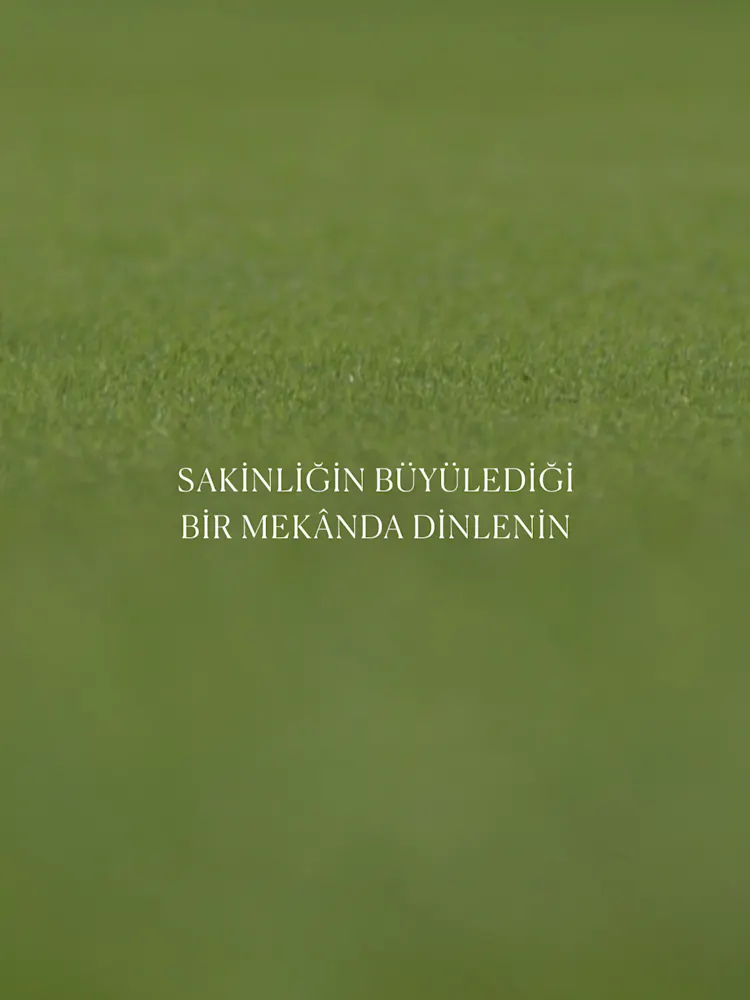 Golf Greens-Gallery-06-TR