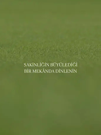 Golf Greens-Gallery-06-TR