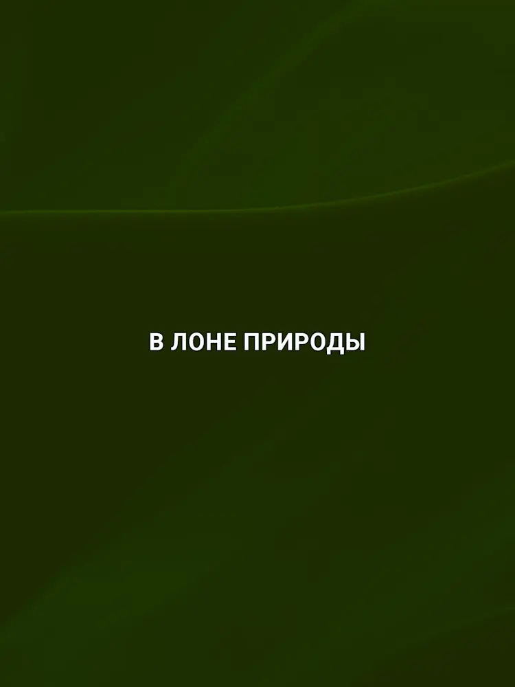 Evergreens-Gallery-04-RU