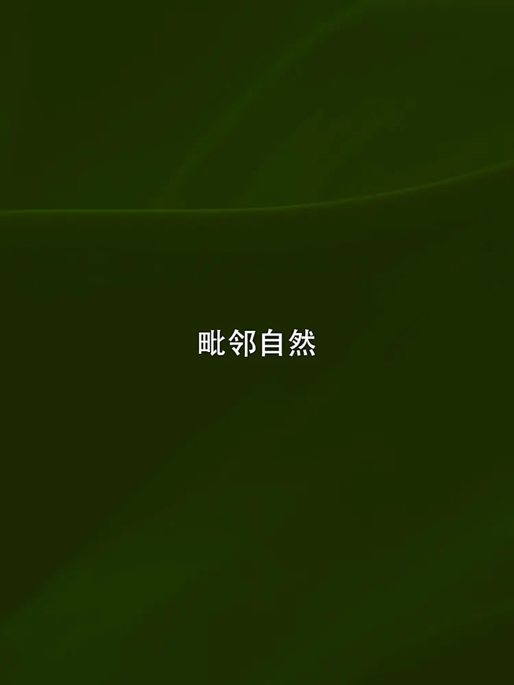 Evergreens-Gallery-04-CN