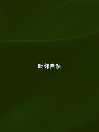 Evergreens-Gallery-04-CN