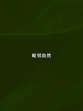 Evergreens-Gallery-04-CN