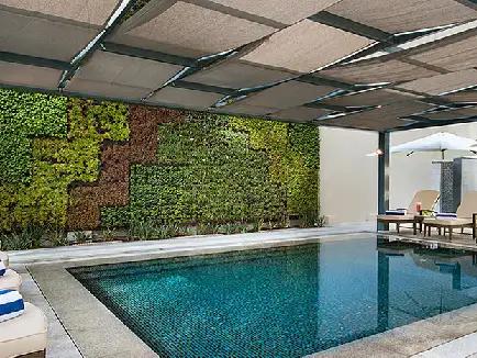 DAMAC Maison Cour Jardin-10