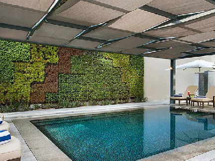 DAMAC Maison Cour Jardin-10