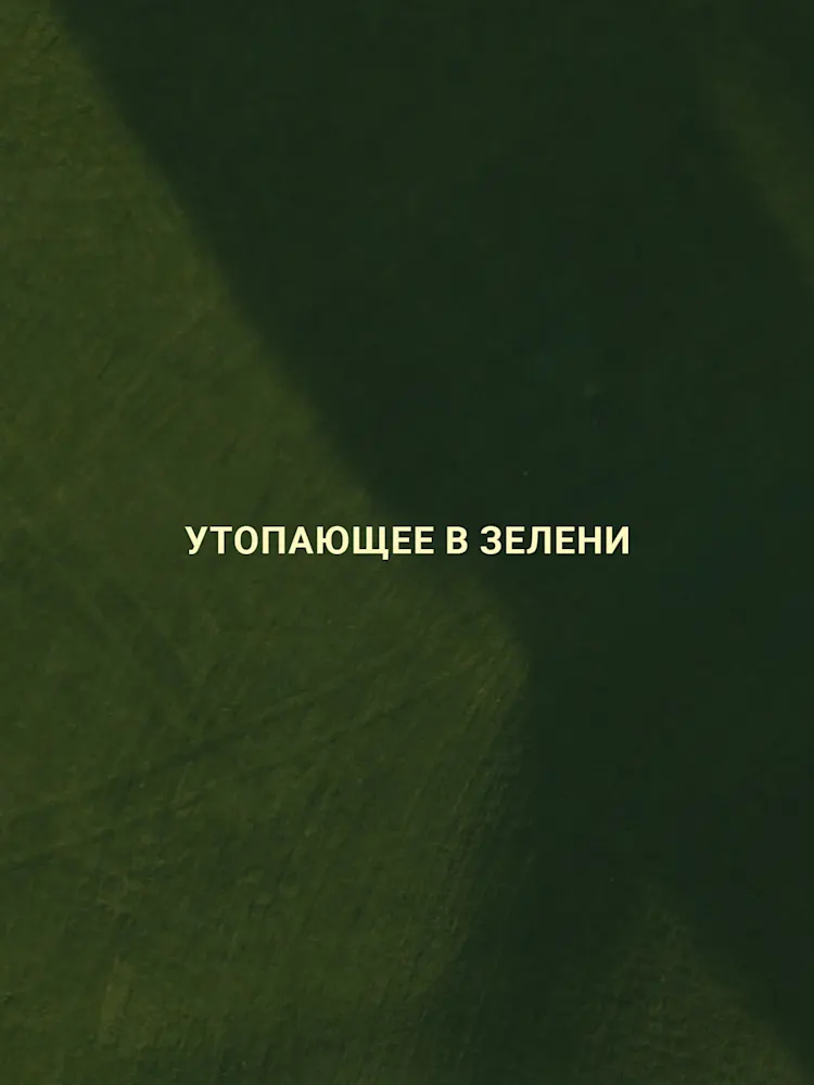 Golf Gate 2-Gallery-11-RU