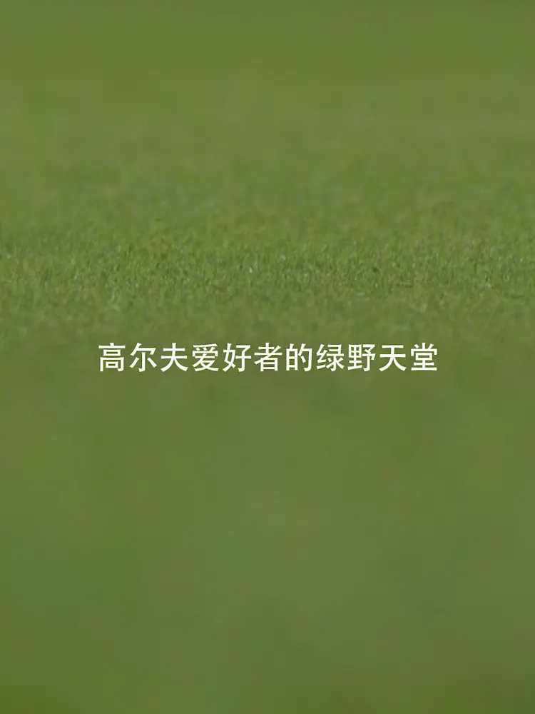 Golf Greens-Gallery-03-CN