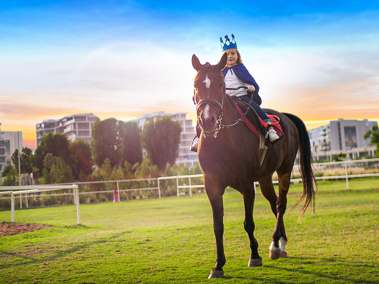 Immerse yourself in the equestrian lifestyle with our stables. Discover a tranquil setting with easy access to scenic trails and riding adventures.
