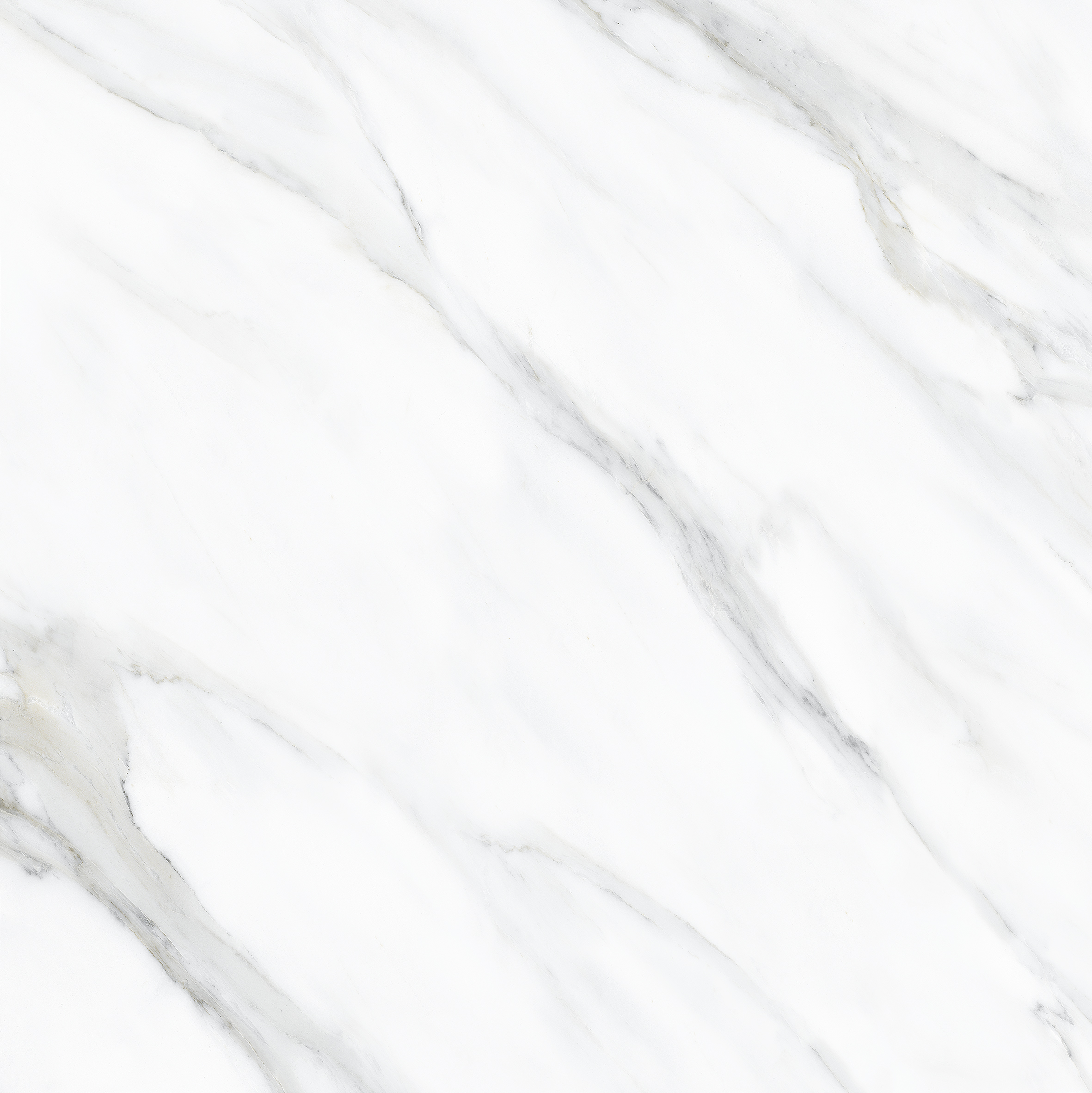 Neal Calacata polished