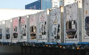 Terminal Reefers