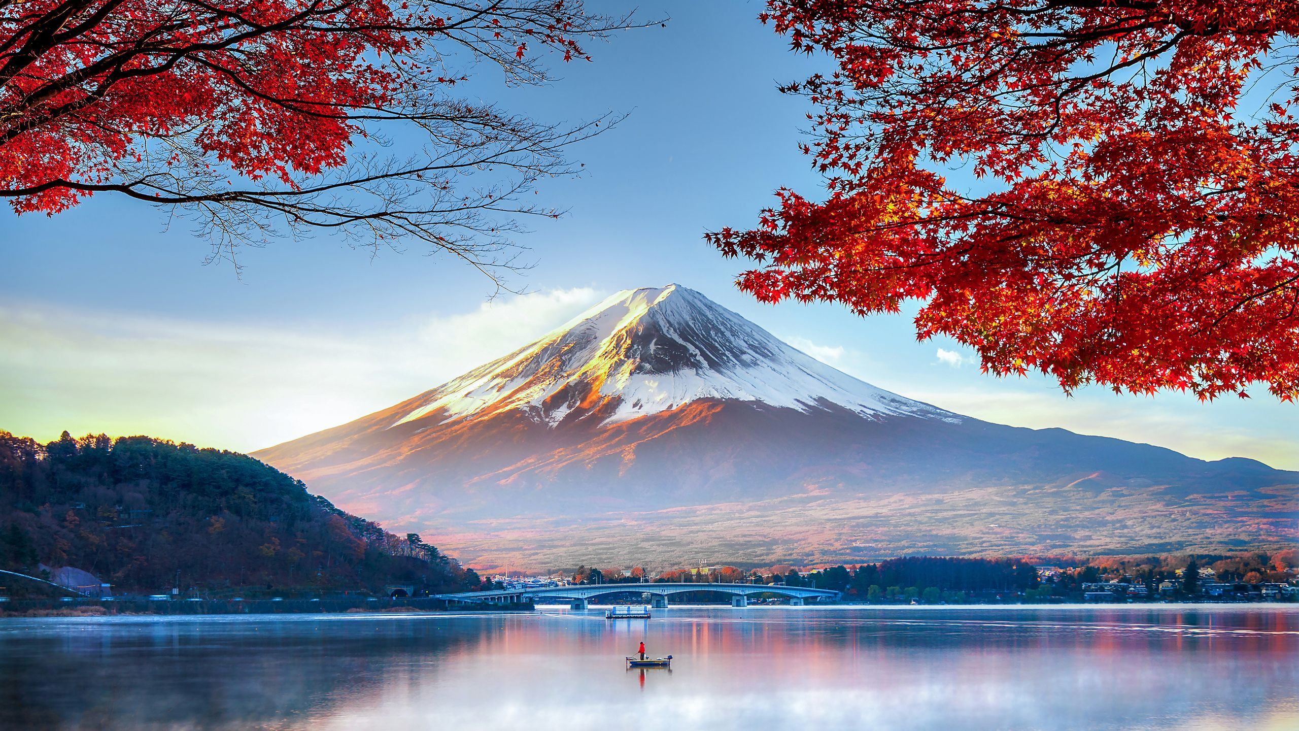 Japón