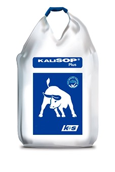 Kali SOP Кали соп