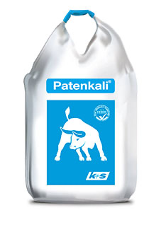 Патенткали