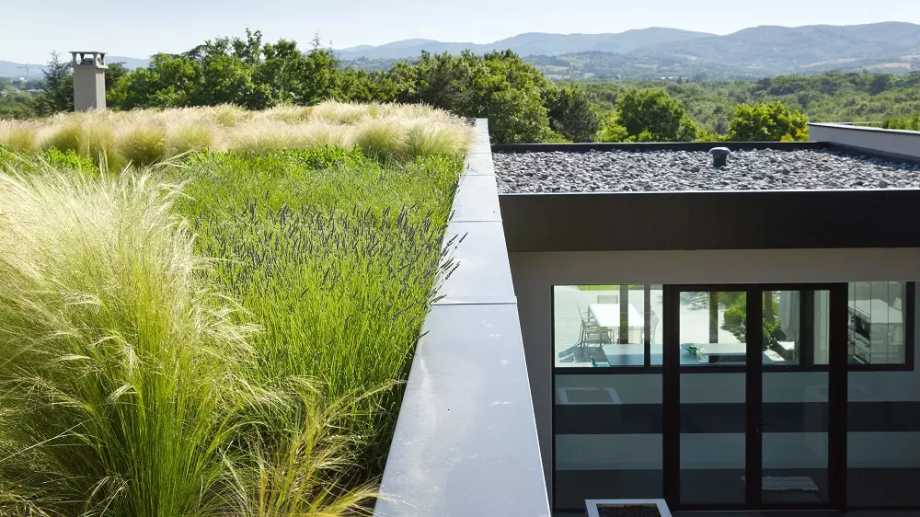 green-roof-residential