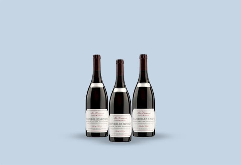 Meo Camuzet Winemaking Prices Best Wines 2021