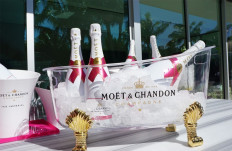 Ice Cubes in Champagne? How Good is Moët Ice Imperial - Social Vignerons